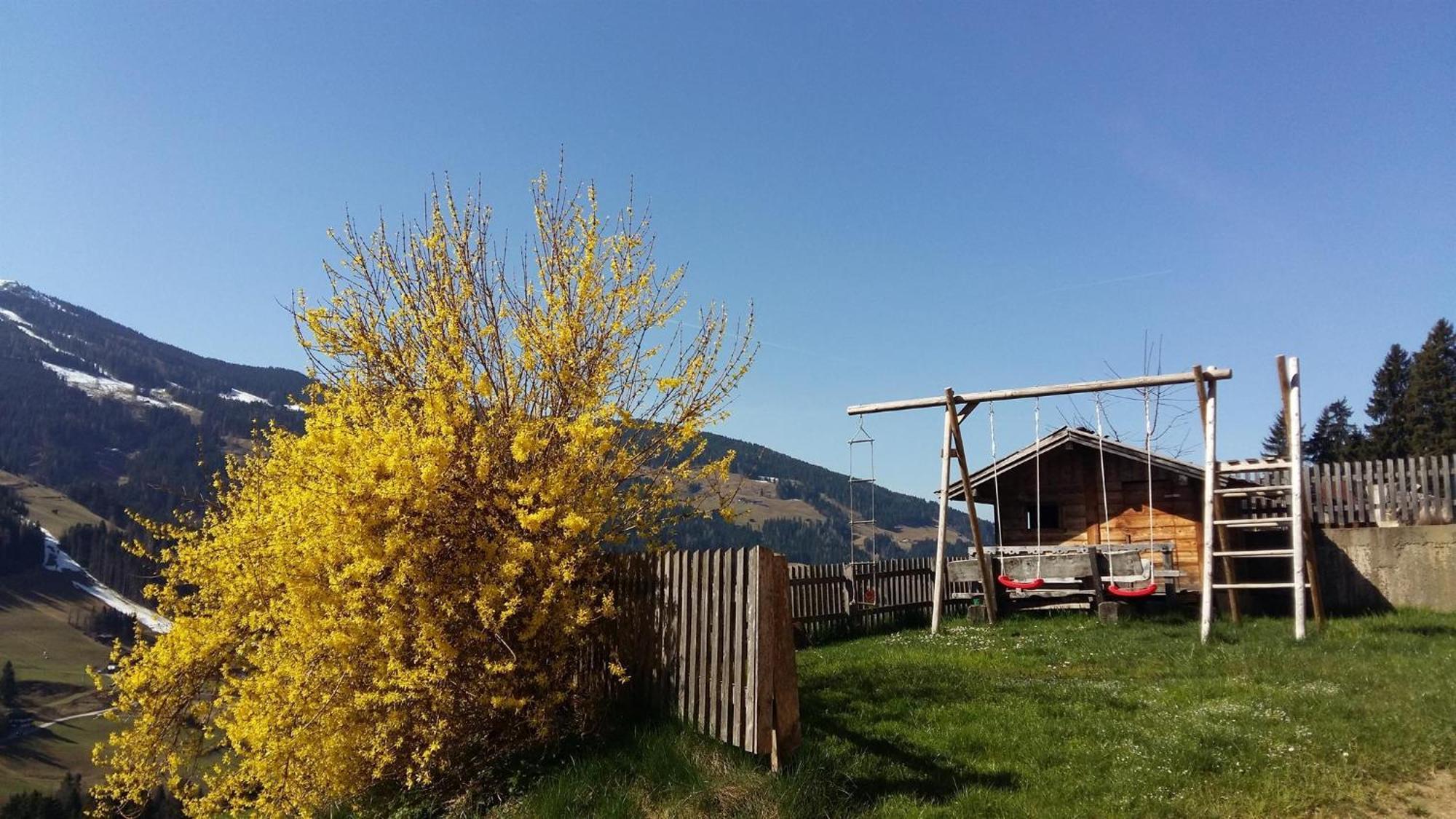Aussermoos-Zuhaus Alpbach Εξωτερικό φωτογραφία